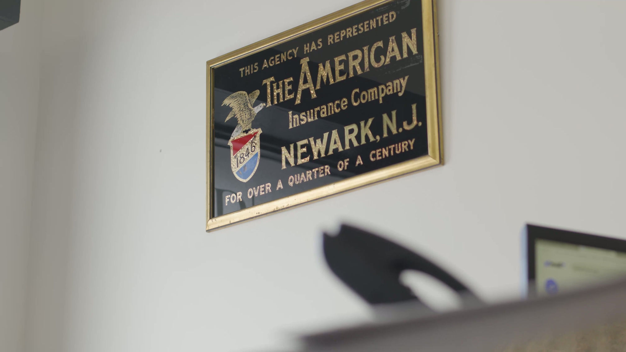 DeStefano Insurance Stinger